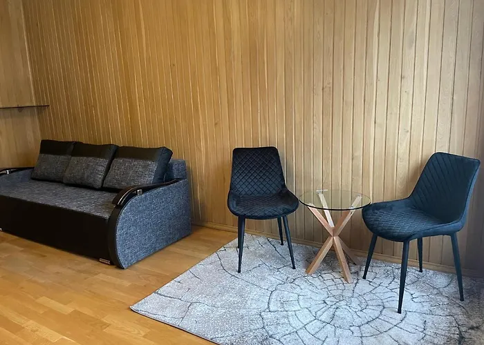 Apartamento Oak Vilna